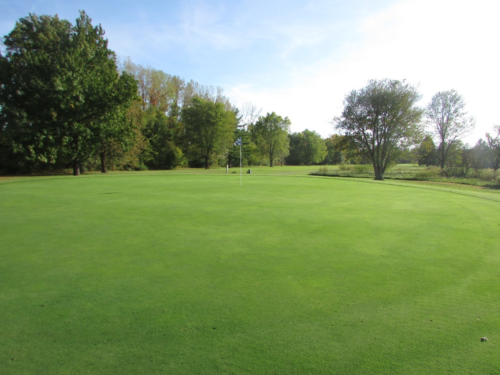 Hole 15 Green