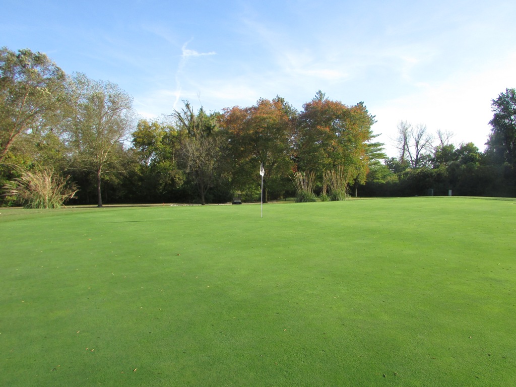 Hole 16 Green