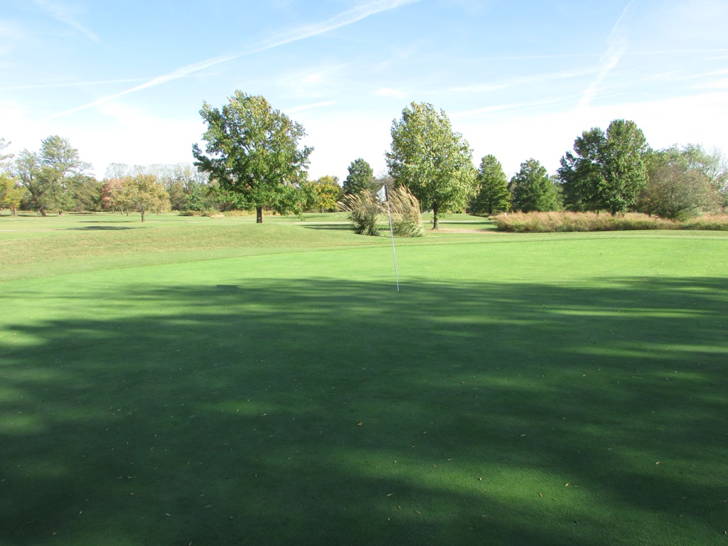 Hole 7 Green